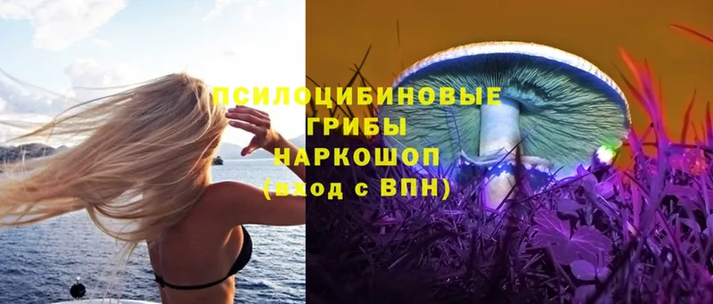 Псилоцибиновые грибы MAGIC MUSHROOMS  гидра   Заинск 